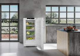 Standgefrierschrank RBa 425i-22